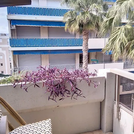 Résidence Graziella 511 *